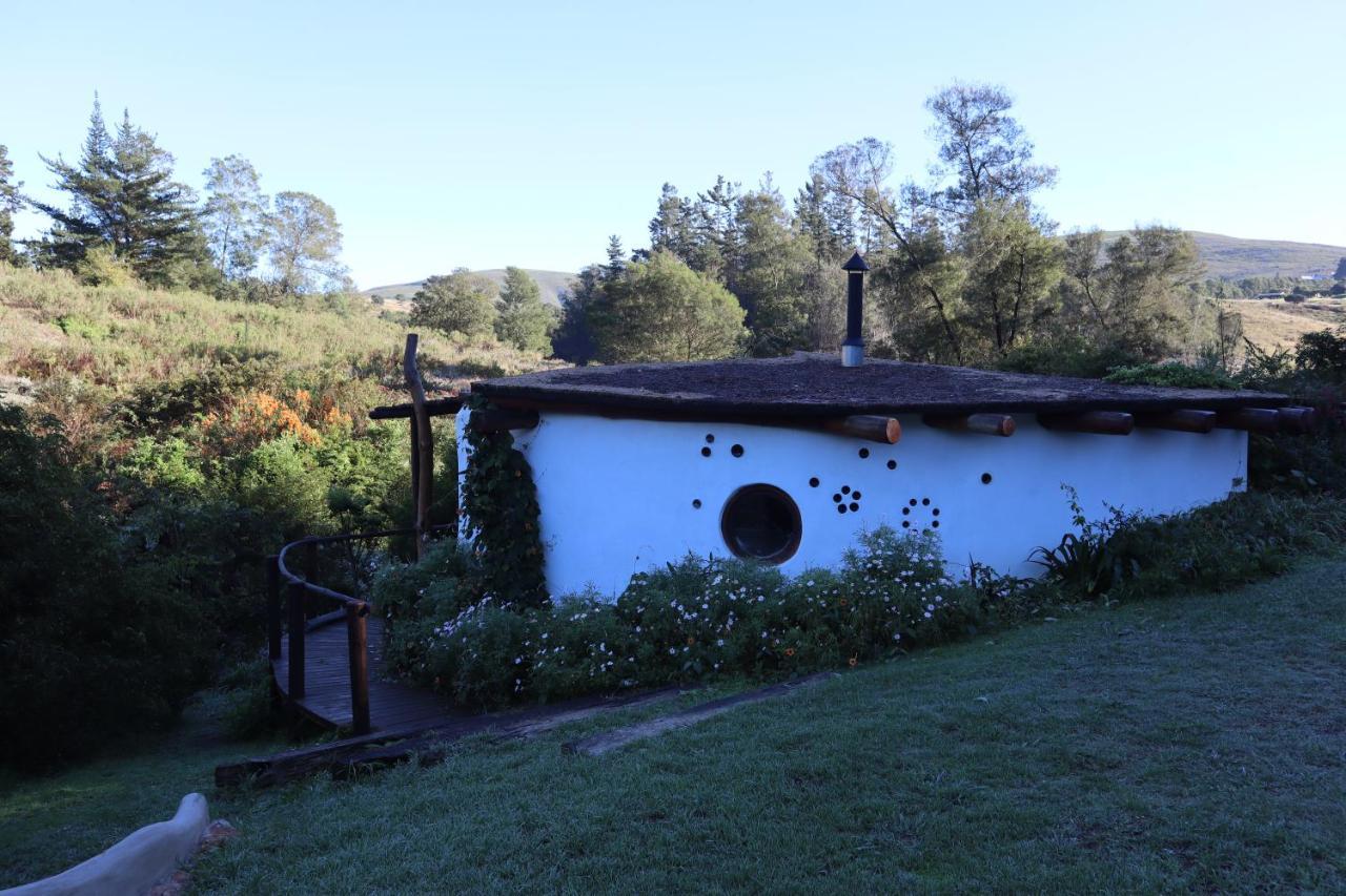 Half Moon Hollow Eco Cottage Mossel Bay Exterior foto