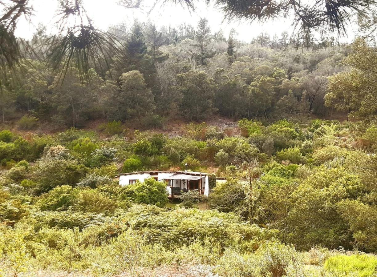 Half Moon Hollow Eco Cottage Mossel Bay Exterior foto